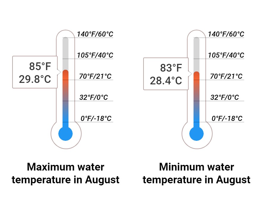 Average Sea temperature